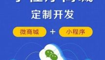 二手車小程序商城系統、網上商城開發方案